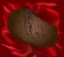 Dark Chocolate Truffle